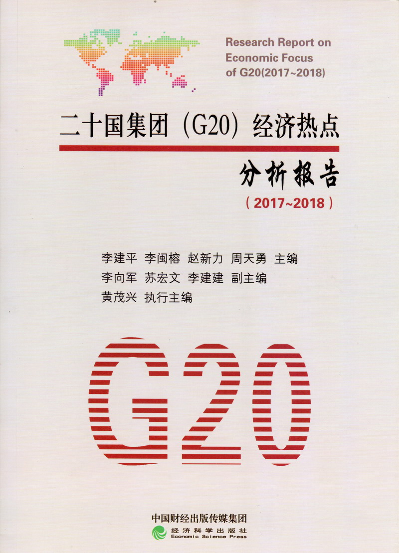 好大好大给我操一下二十国集团（G20）经济热点分析报告（2017-2018）