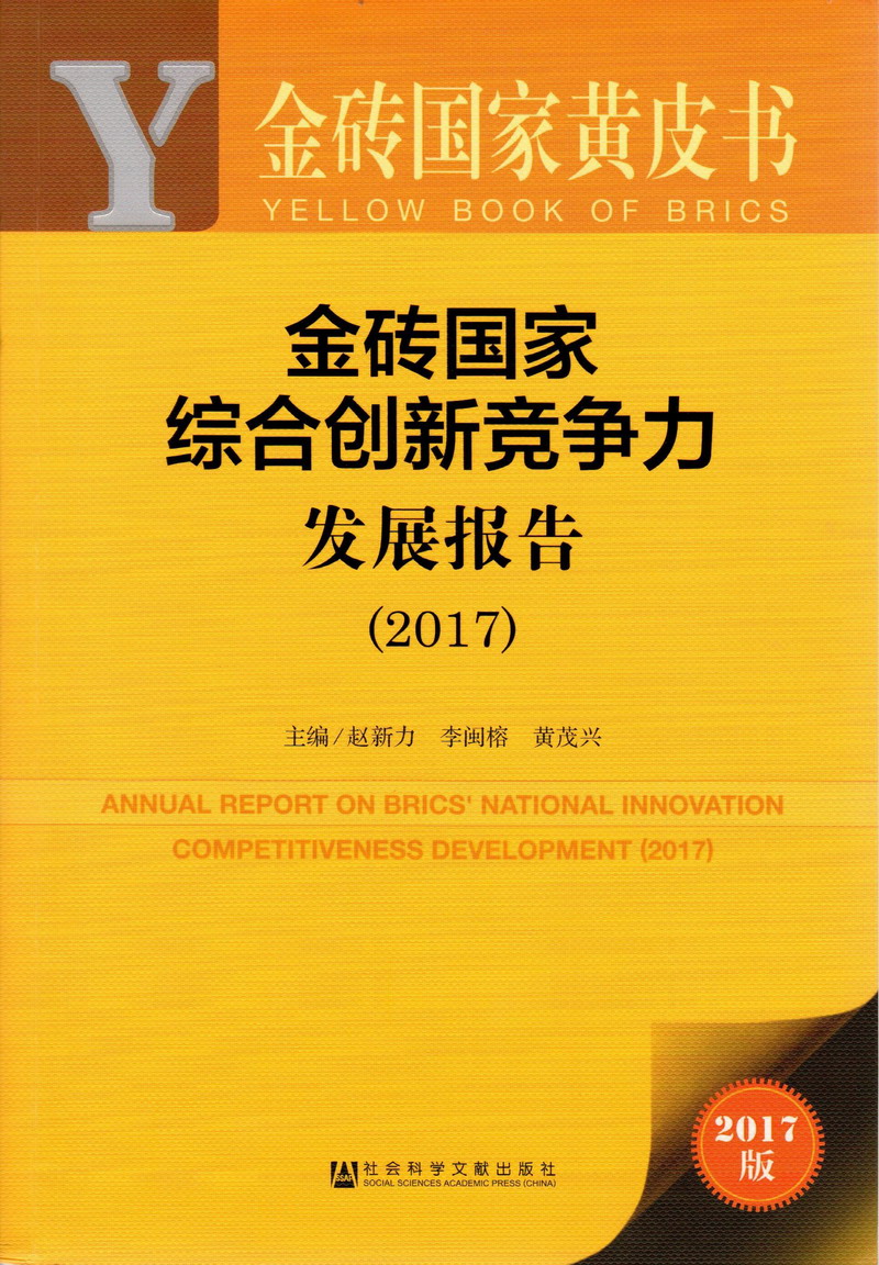 日逼睡觉网站金砖国家综合创新竞争力发展报告（2017）